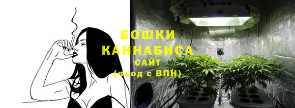 прущие крисы Приозерск