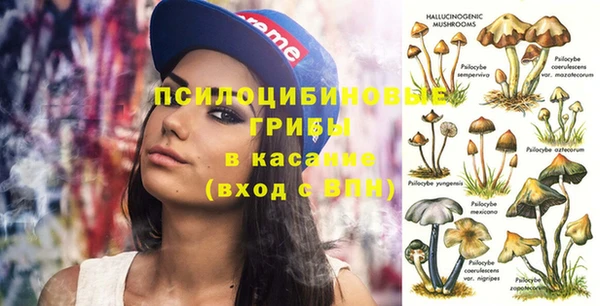 таблы Арсеньев