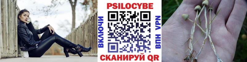 Псилоцибиновые грибы Psilocybe  наркошоп  Чернушка 