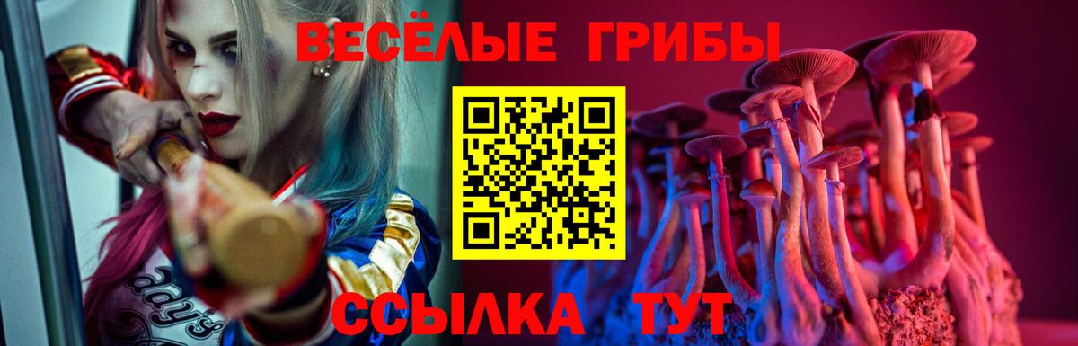 где купить   Псилоцибиновые грибы Psilocybe  Вход с VPN  Чернушка 